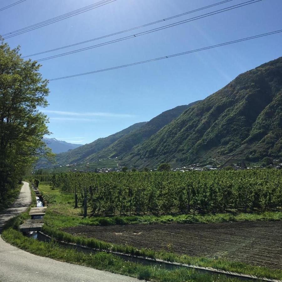Casa Vacanze - Residenza Elvezia Tirano Exteriör bild