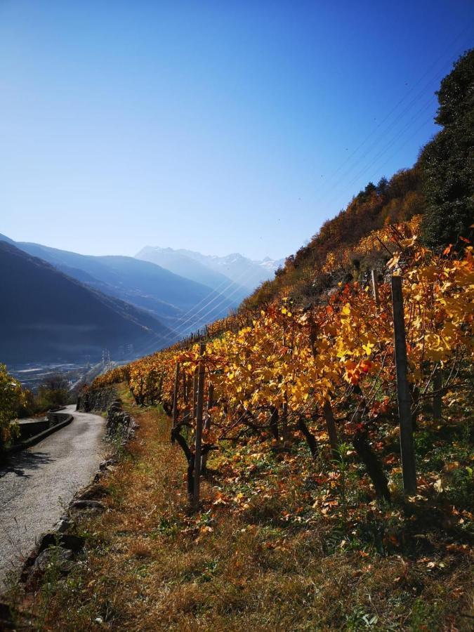 Casa Vacanze - Residenza Elvezia Tirano Exteriör bild